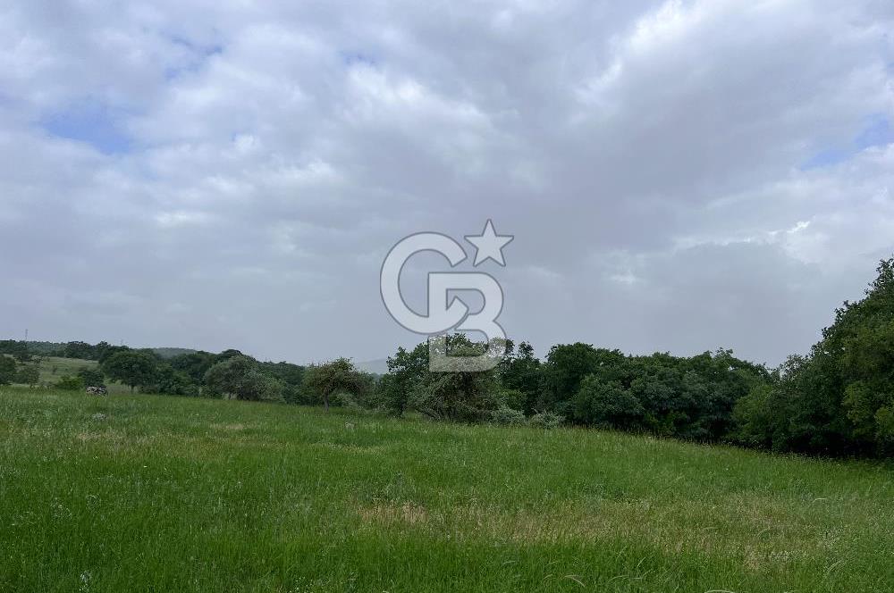 BALIKESİR İVRİNDİ GÖKÇEYAZI'DA HARİKA LOKASYONDA TARLA! 15.950m2