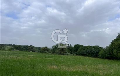 BALIKESİR İVRİNDİ GÖKÇEYAZI'DA HARİKA LOKASYONDA TARLA! 15.950m2