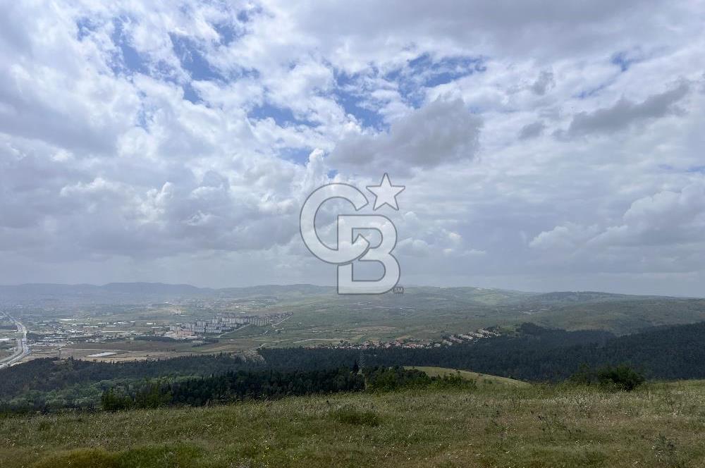BALIKESİR ALTIEYLÜL AYVATLAR'DA MUHTEŞEM MANZARALI TARLA! 8563m2