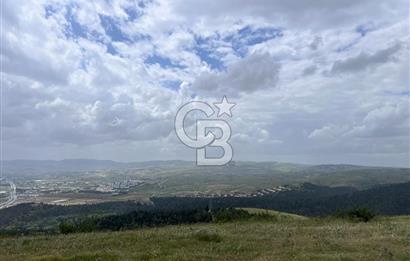 BALIKESİR ALTIEYLÜL AYVATLAR'DA MUHTEŞEM MANZARALI TARLA! 8563m2