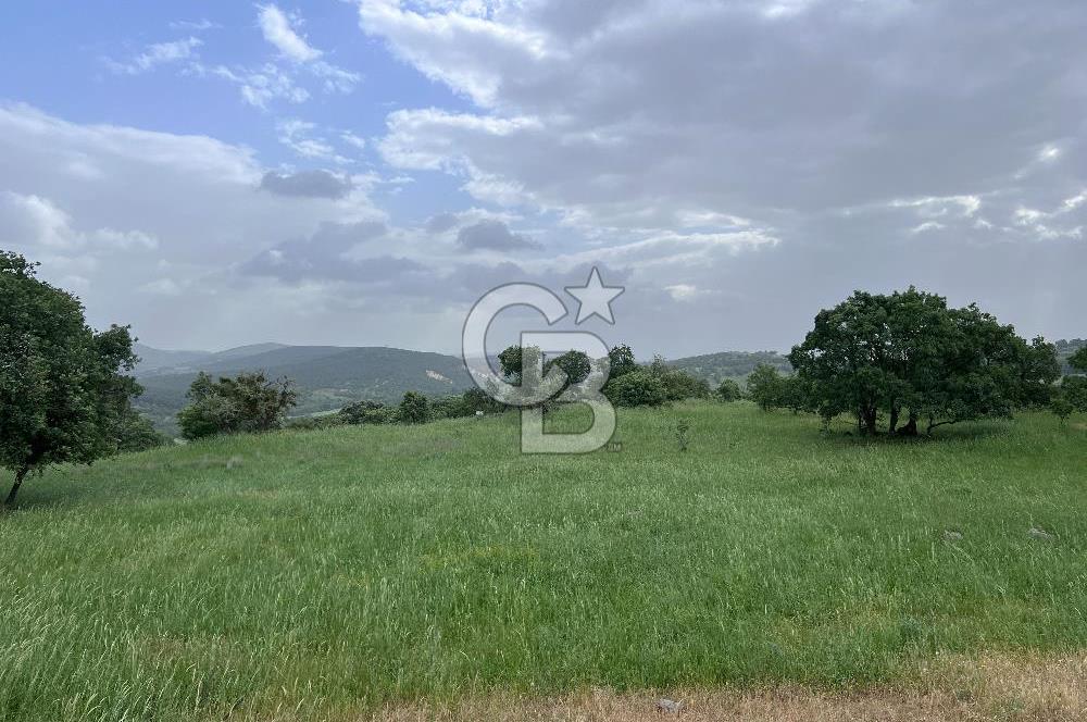 BALIKESİR İVRİNDİ GÖKÇEYAZI'DA HARİKA LOKASYONDA TARLA! 15.950m2