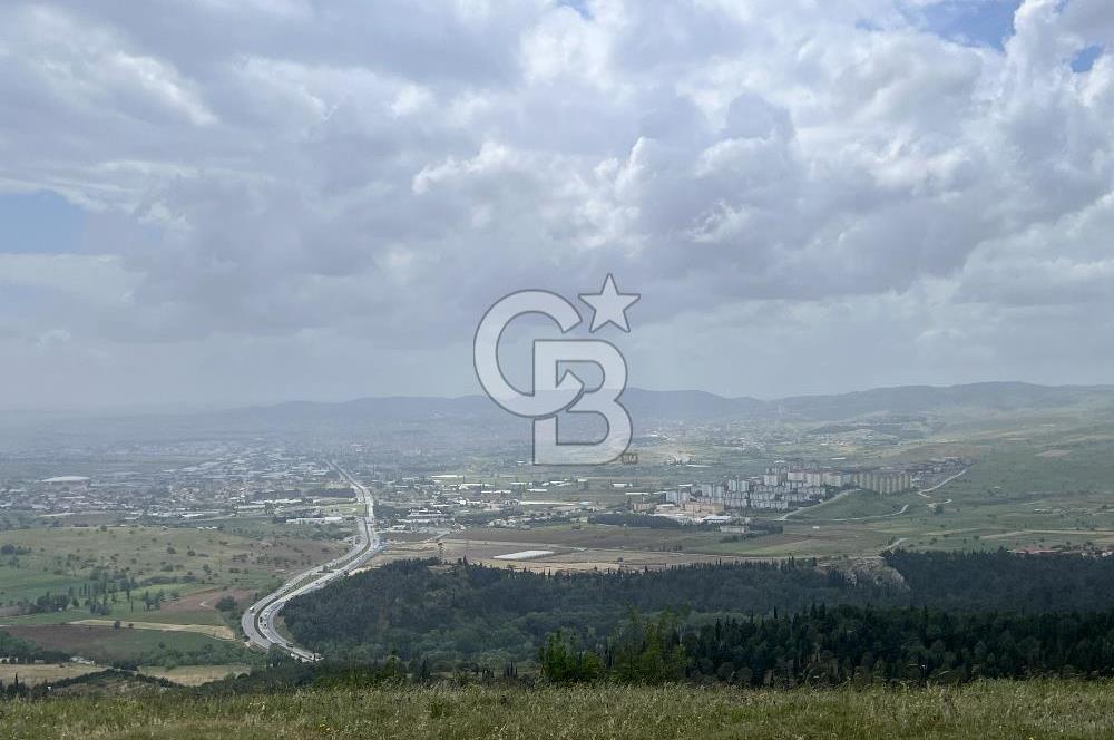 BALIKESİR ALTIEYLÜL AYVATLAR'DA MUHTEŞEM MANZARALI TARLA! 8563m2