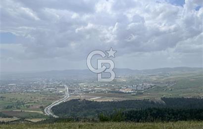 BALIKESİR ALTIEYLÜL AYVATLAR'DA MUHTEŞEM MANZARALI TARLA! 8563m2