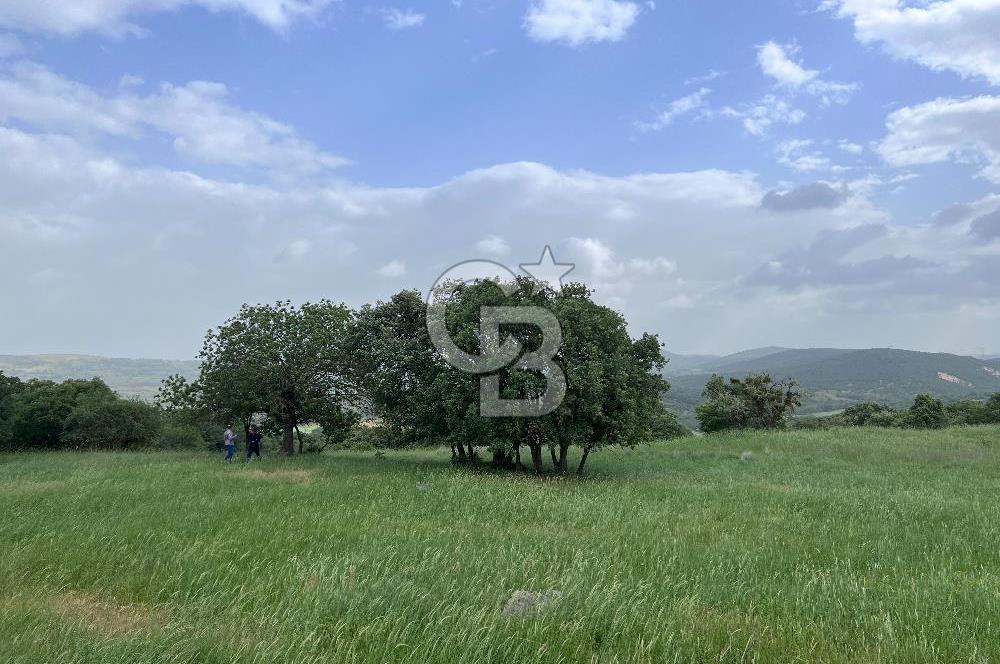 BALIKESİR İVRİNDİ GÖKÇEYAZI'DA HARİKA LOKASYONDA TARLA! 15.950m2