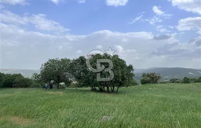 BALIKESİR İVRİNDİ GÖKÇEYAZI'DA HARİKA LOKASYONDA TARLA! 15.950m2