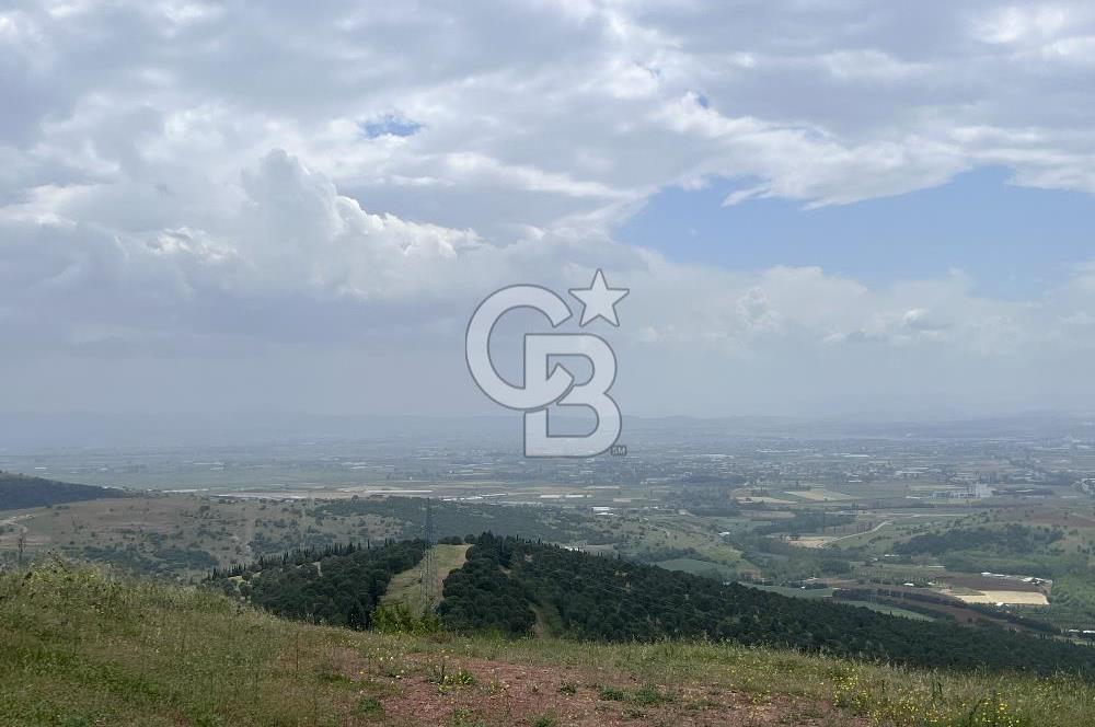 BALIKESİR ALTIEYLÜL AYVATLAR'DA MUHTEŞEM MANZARALI TARLA! 8563m2