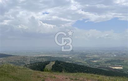 BALIKESİR ALTIEYLÜL AYVATLAR'DA MUHTEŞEM MANZARALI TARLA! 8563m2