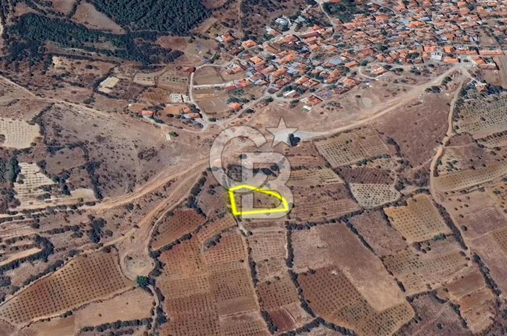 DENİZLİ BAHADINLAR  KÖYÜNDE  SATILIK  TARIM ARAZİSİ