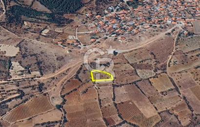 DENİZLİ BAHADINLAR  KÖYÜNDE  SATILIK  TARIM ARAZİSİ