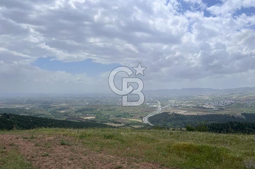 BALIKESİR ALTIEYLÜL AYVATLAR'DA MUHTEŞEM MANZARALI TARLA! 8563m2
