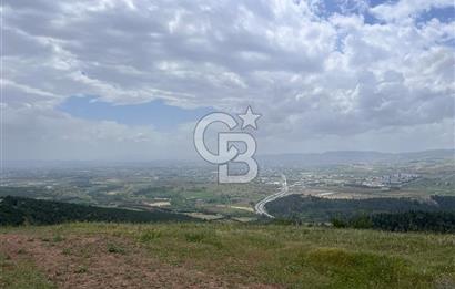 BALIKESİR ALTIEYLÜL AYVATLAR'DA MUHTEŞEM MANZARALI TARLA! 8563m2