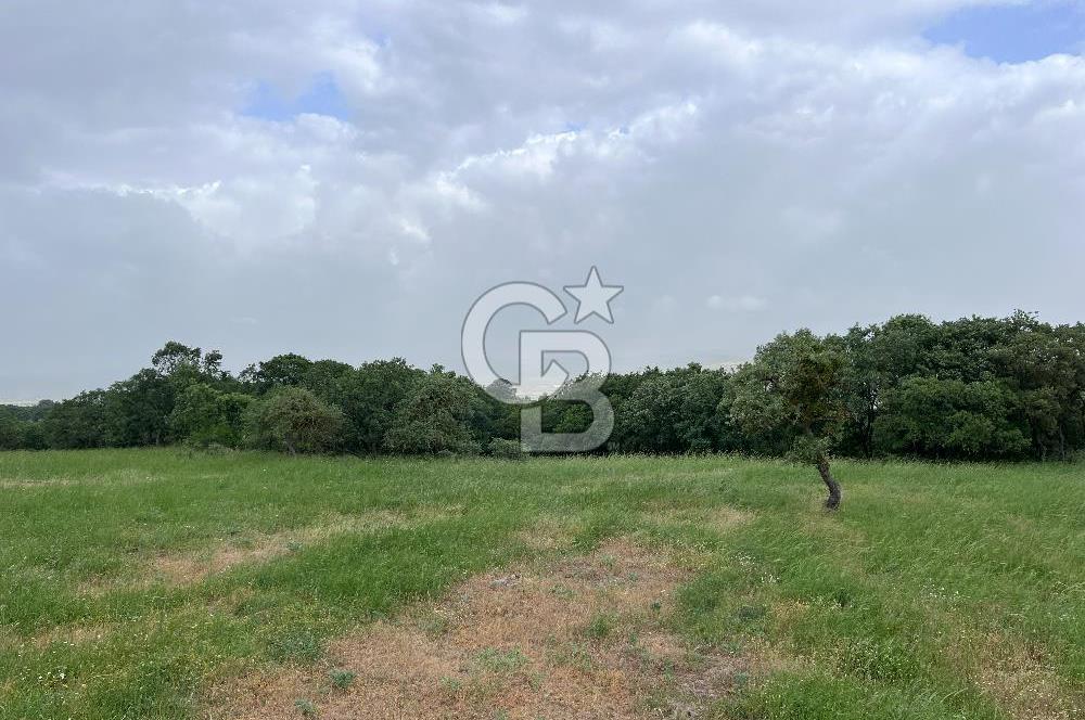 BALIKESİR İVRİNDİ GÖKÇEYAZI'DA HARİKA LOKASYONDA TARLA! 15.950m2