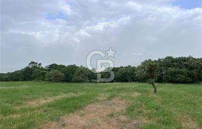 BALIKESİR İVRİNDİ GÖKÇEYAZI'DA HARİKA LOKASYONDA TARLA! 15.950m2