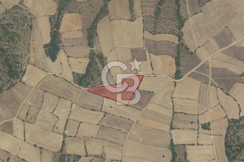 BALIKESİR ALTIEYLÜL DEREKÖY'DE KADASTRO YOLU OLAN TARLA! 7.593M2
