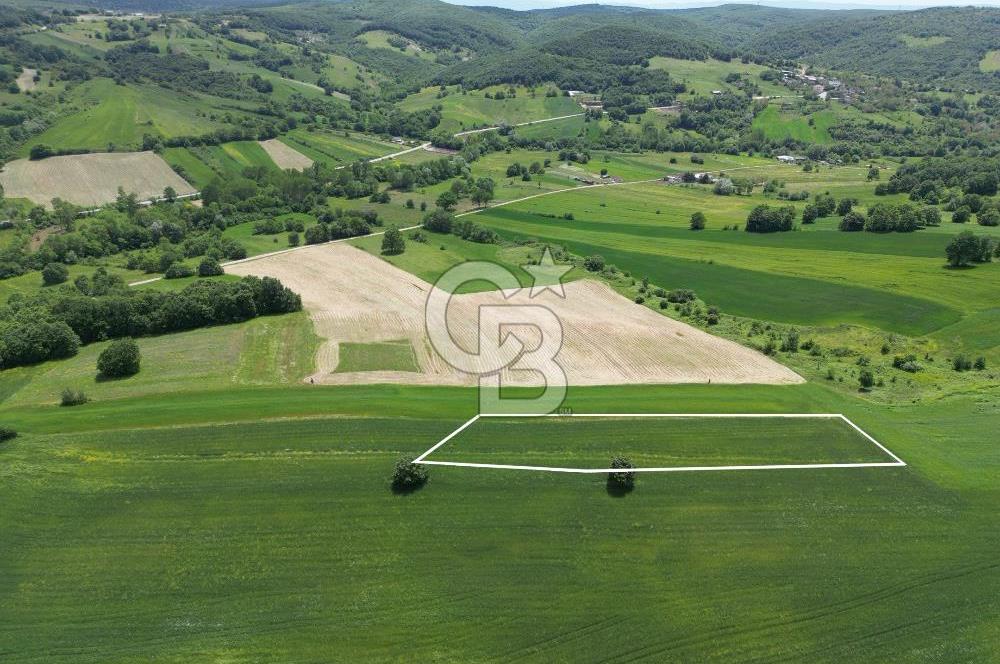 CB TOWER'DAN KÖRFEZ SİPAHİLER'DE SATILIK 3528 M2 ARSA.