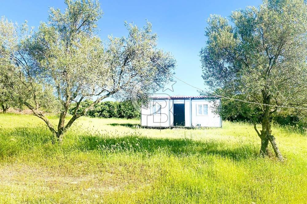 UMURBEY'DE DENİZ MANZARALI VİLLALARA KOMŞU SATILIK TARLA