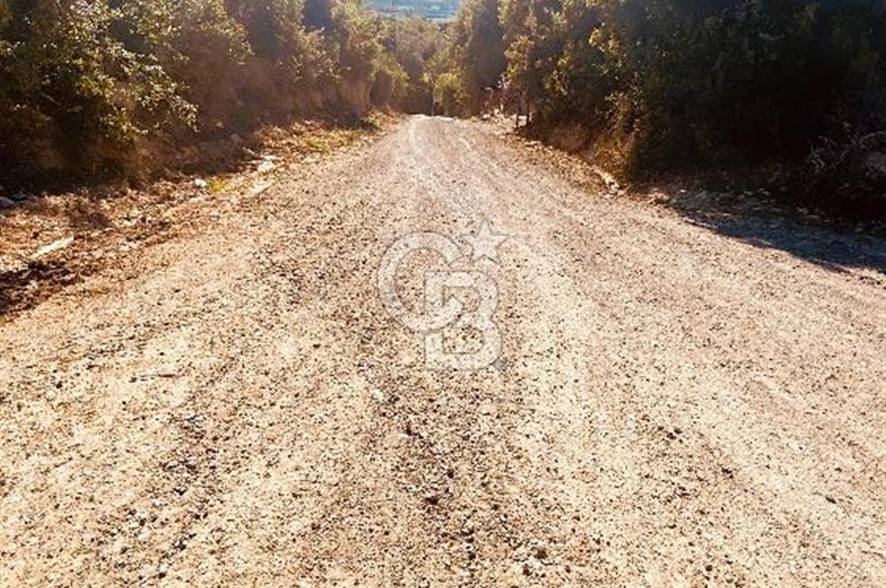 UMURBEY'DE DENİZ MANZARALI VİLLALARA KOMŞU SATILIK TARLA