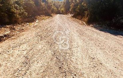 UMURBEY'DE DENİZ MANZARALI VİLLALARA KOMŞU SATILIK TARLA