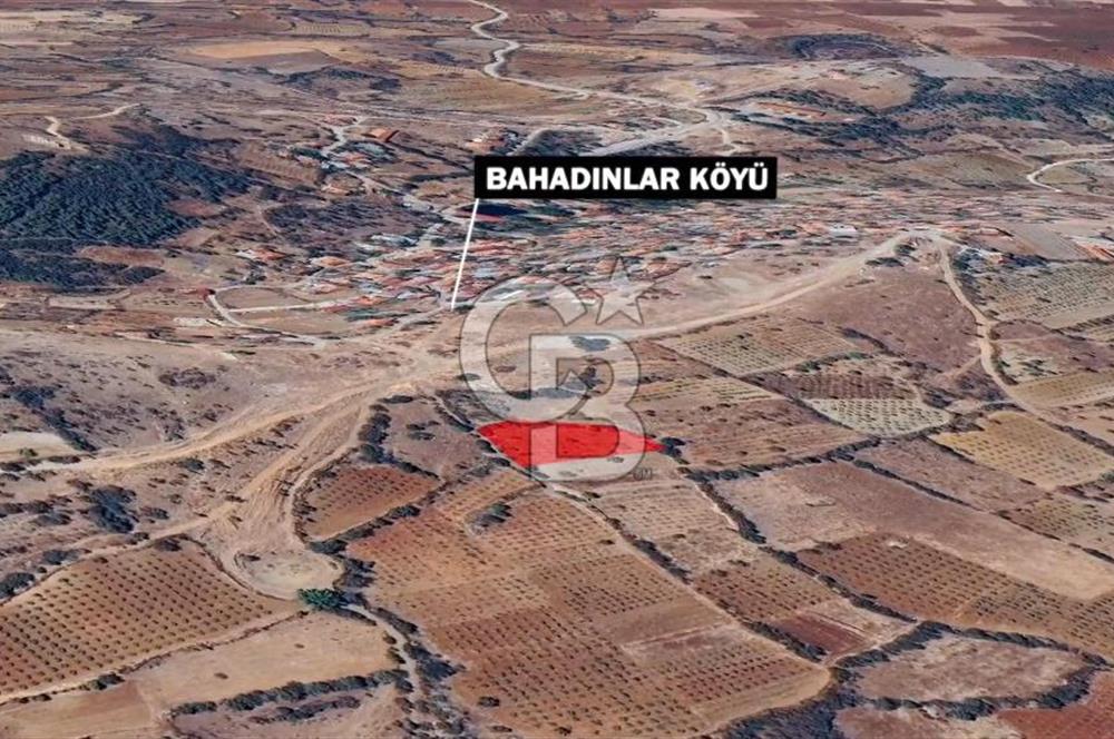 DENİZLİ BAHADINLAR  KÖYÜNDE  SATILIK  TARIM ARAZİSİ