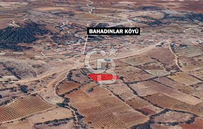 DENİZLİ BAHADINLAR  KÖYÜNDE  SATILIK  TARIM ARAZİSİ
