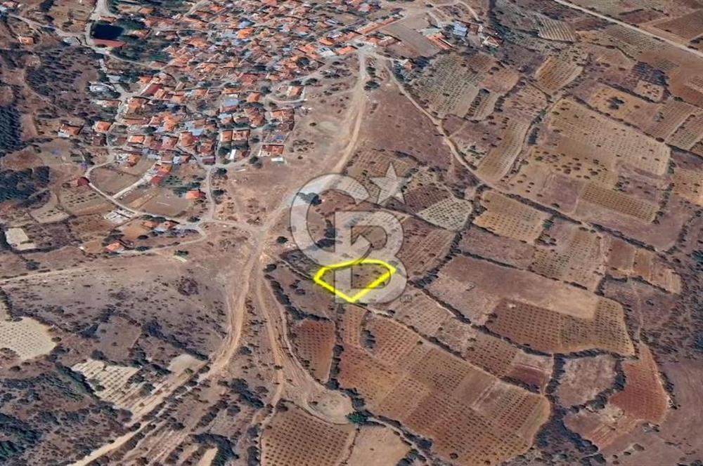 DENİZLİ BAHADINLAR  KÖYÜNDE  SATILIK  TARIM ARAZİSİ