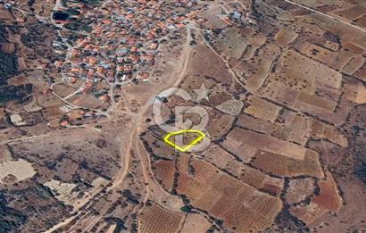 DENİZLİ BAHADINLAR  KÖYÜNDE  SATILIK  TARIM ARAZİSİ
