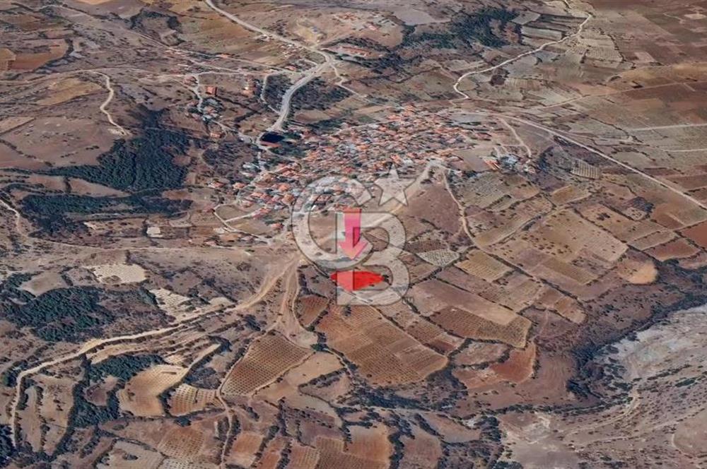 DENİZLİ BAHADINLAR  KÖYÜNDE  SATILIK  TARIM ARAZİSİ