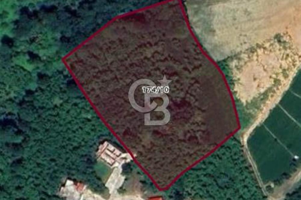 TRABZON ORTAHİSAR'DA ESENYURT 6.645 M2 SATILIK FINDIK BAHCESİ