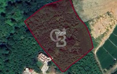 TRABZON ORTAHİSAR'DA ESENYURT 6.645 M2 SATILIK FINDIK BAHCESİ