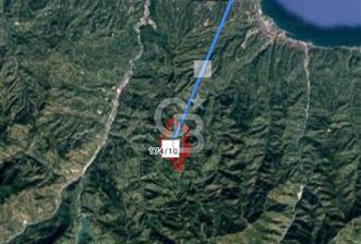 TRABZON ORTAHİSAR'DA ESENYURT 6.645 M2 SATILIK FINDIK BAHCESİ