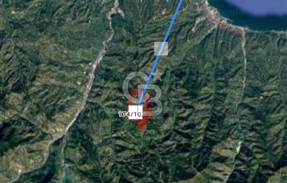 TRABZON ORTAHİSAR'DA ESENYURT 6.645 M2 SATILIK FINDIK BAHCESİ