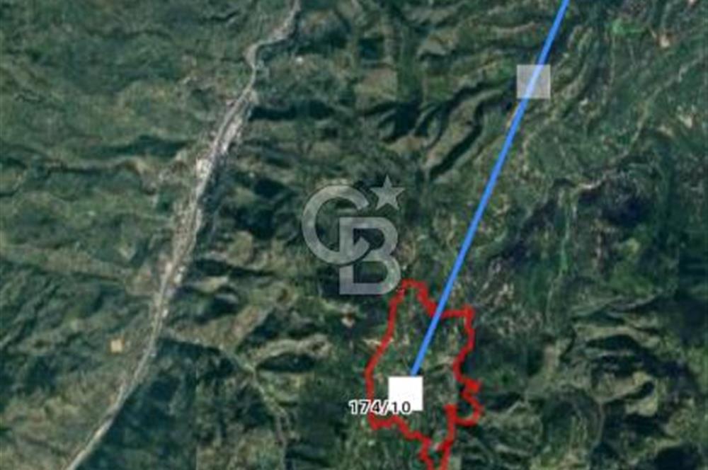 TRABZON ORTAHİSAR'DA ESENYURT 6.645 M2 SATILIK FINDIK BAHCESİ