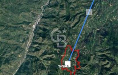 TRABZON ORTAHİSAR'DA ESENYURT 6.645 M2 SATILIK FINDIK BAHCESİ