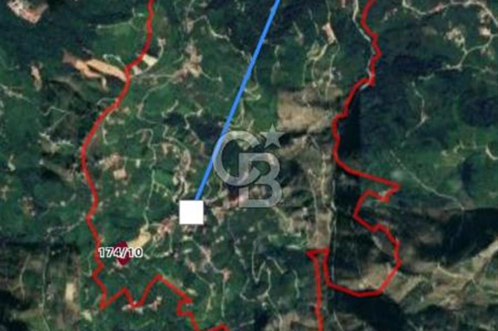 TRABZON ORTAHİSAR'DA ESENYURT 6.645 M2 SATILIK FINDIK BAHCESİ