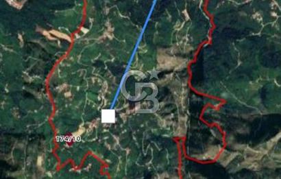 TRABZON ORTAHİSAR'DA ESENYURT 6.645 M2 SATILIK FINDIK BAHCESİ