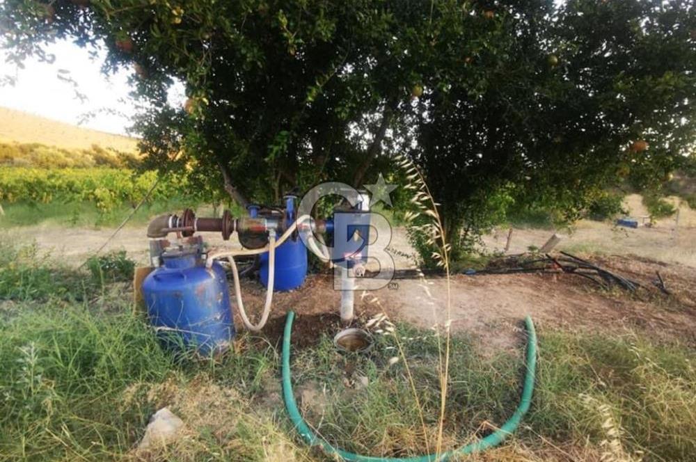 ALAŞEHİR SOĞANLI MAH. SİNDE 8701 M2 SATILIK BAĞ YERİ