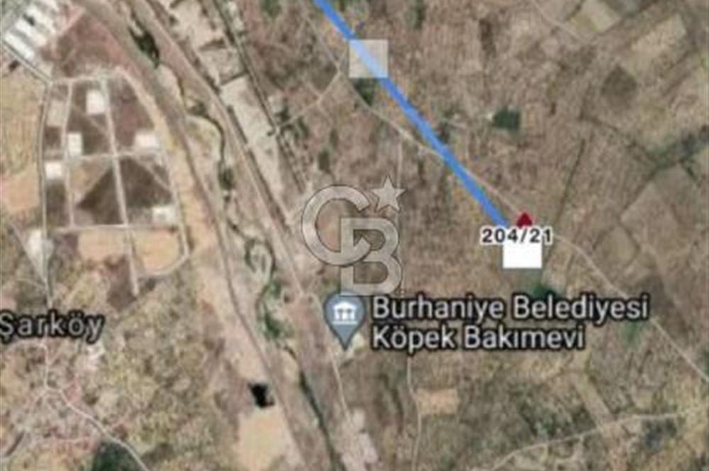 BALIKESİR / BURHANİYE / YUNUS MAHALLESİ’NDE SATILIK ZEYTİNLİK – 4.361 m²