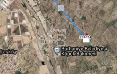 BALIKESİR / BURHANİYE / YUNUS MAHALLESİ’NDE SATILIK ZEYTİNLİK – 4.361 m²