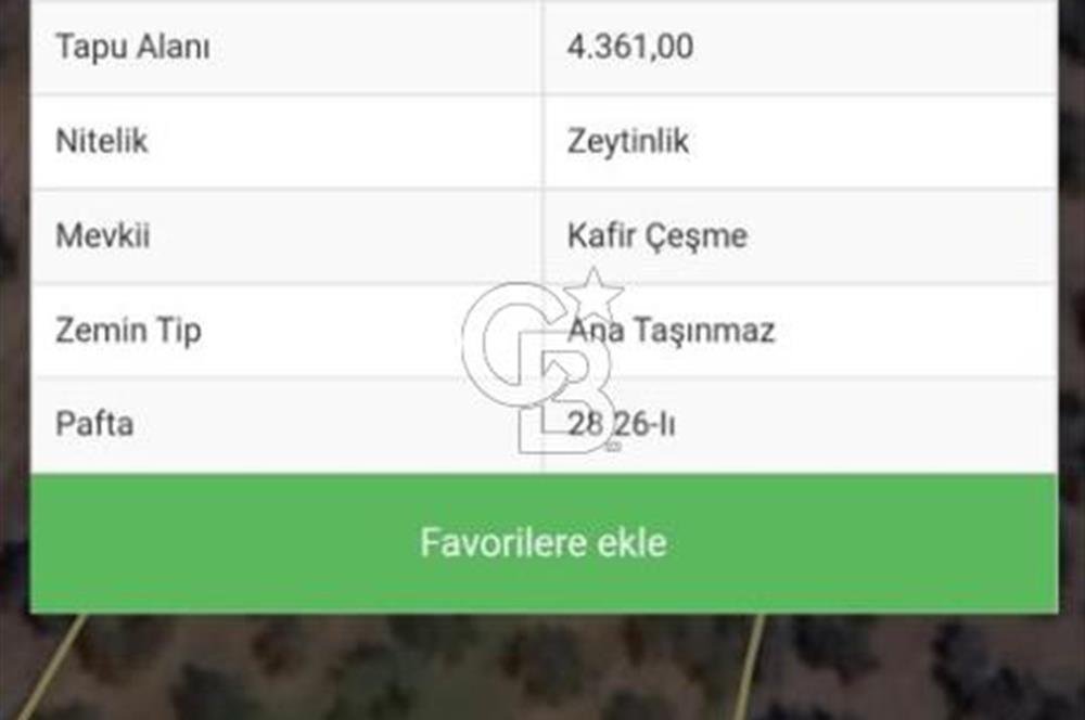 BALIKESİR / BURHANİYE / YUNUS MAHALLESİ’NDE SATILIK ZEYTİNLİK – 4.361 m²