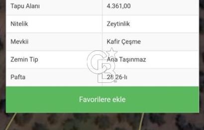 BALIKESİR / BURHANİYE / YUNUS MAHALLESİ’NDE SATILIK ZEYTİNLİK – 4.361 m²