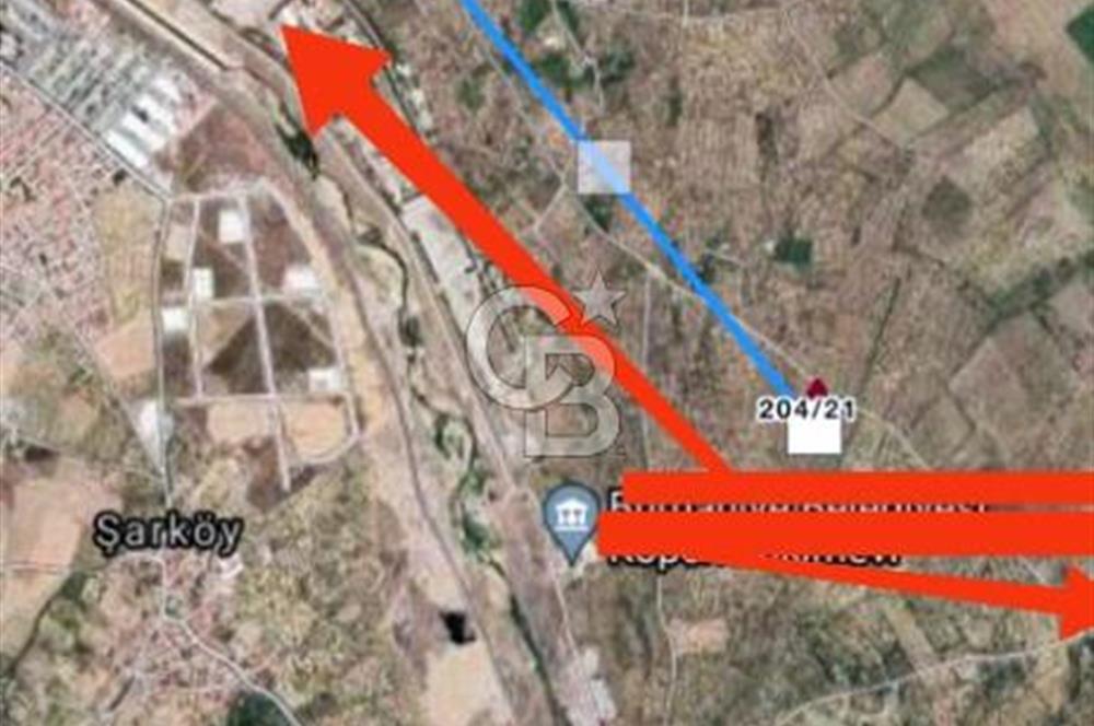 BALIKESİR / BURHANİYE / YUNUS MAHALLESİ’NDE SATILIK ZEYTİNLİK – 4.361 m²