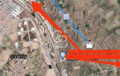BALIKESİR / BURHANİYE / YUNUS MAHALLESİ’NDE SATILIK ZEYTİNLİK – 4.361 m²