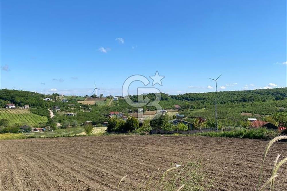 KANDIRA BALLAR'DA ANAYOLA GENİŞ CEPHELİ 5530 M2 SATILIK ARSA