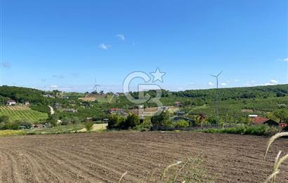 KANDIRA BALLAR'DA ANAYOLA GENİŞ CEPHELİ 5530 M2 SATILIK ARSA