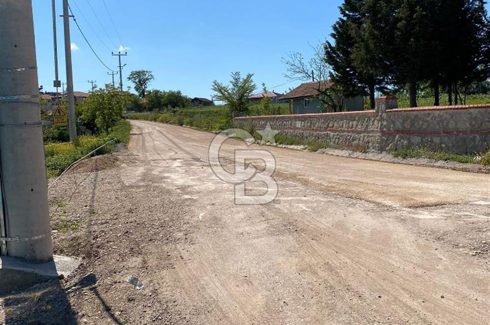 KANDIRA BALLAR'DA ANAYOLA GENİŞ CEPHELİ 5530 M2 SATILIK ARSA