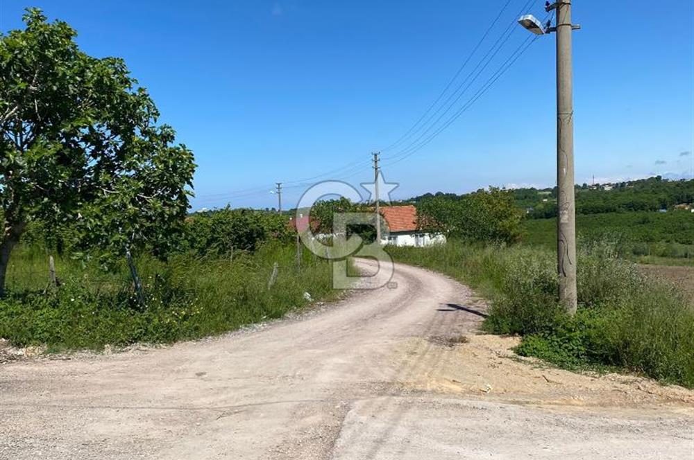 KANDIRA BALLAR'DA ANAYOLA GENİŞ CEPHELİ 5530 M2 SATILIK ARSA