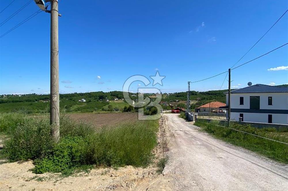 KANDIRA BALLAR'DA ANAYOLA GENİŞ CEPHELİ 5530 M2 SATILIK ARSA