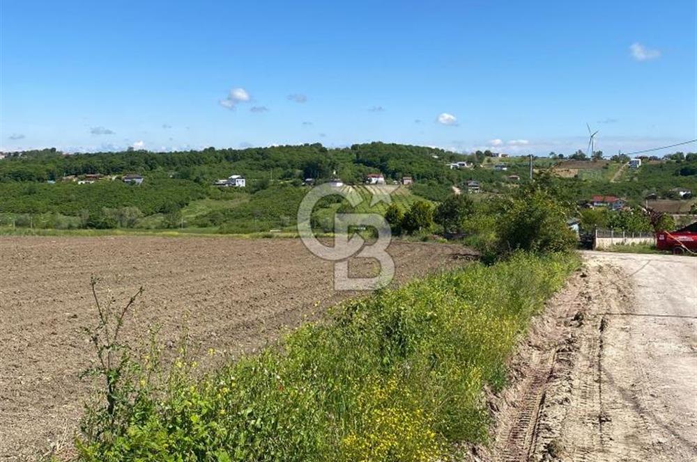 KANDIRA BALLAR'DA ANAYOLA GENİŞ CEPHELİ 5530 M2 SATILIK ARSA