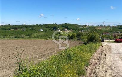 KANDIRA BALLAR'DA ANAYOLA GENİŞ CEPHELİ 5530 M2 SATILIK ARSA