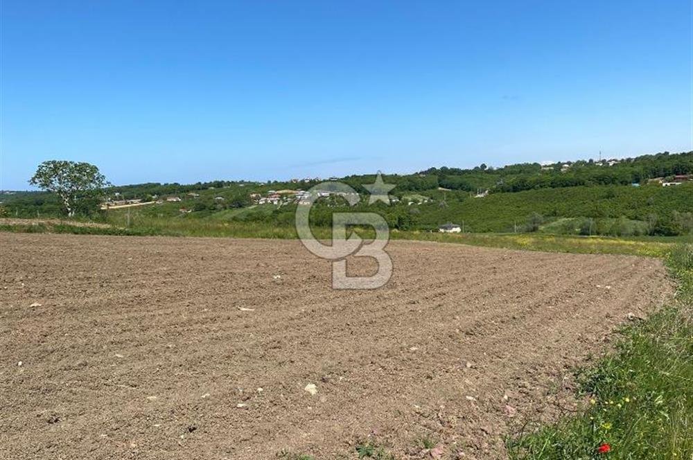 KANDIRA BALLAR'DA ANAYOLA GENİŞ CEPHELİ 5530 M2 SATILIK ARSA
